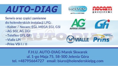 Wizytówka FHU AUTO-DIAG.jpg