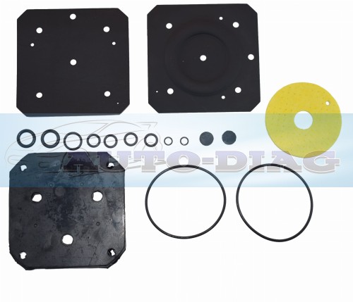 LANDI RENZO IG1 PEŁNY 2.jpg